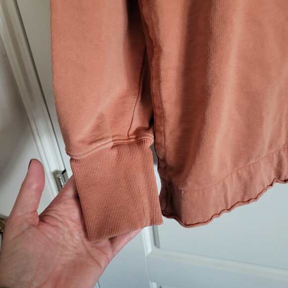 American Eagle Sunwashed Desert Hoodie in Canyon Clay - Picture 4 of 6